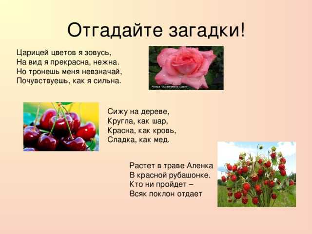 Загадки про радугу для детей | радуга