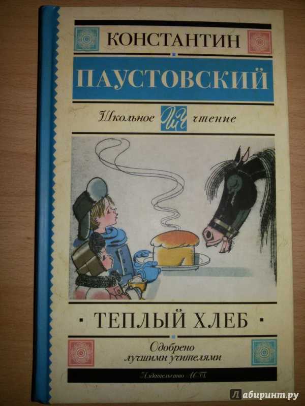 Краткое содержание рассказа паустовского «тёплый хлеб»