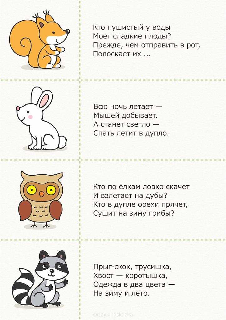 Загадки для развития речи для детей дошкольников 6-7 лет с ответами
