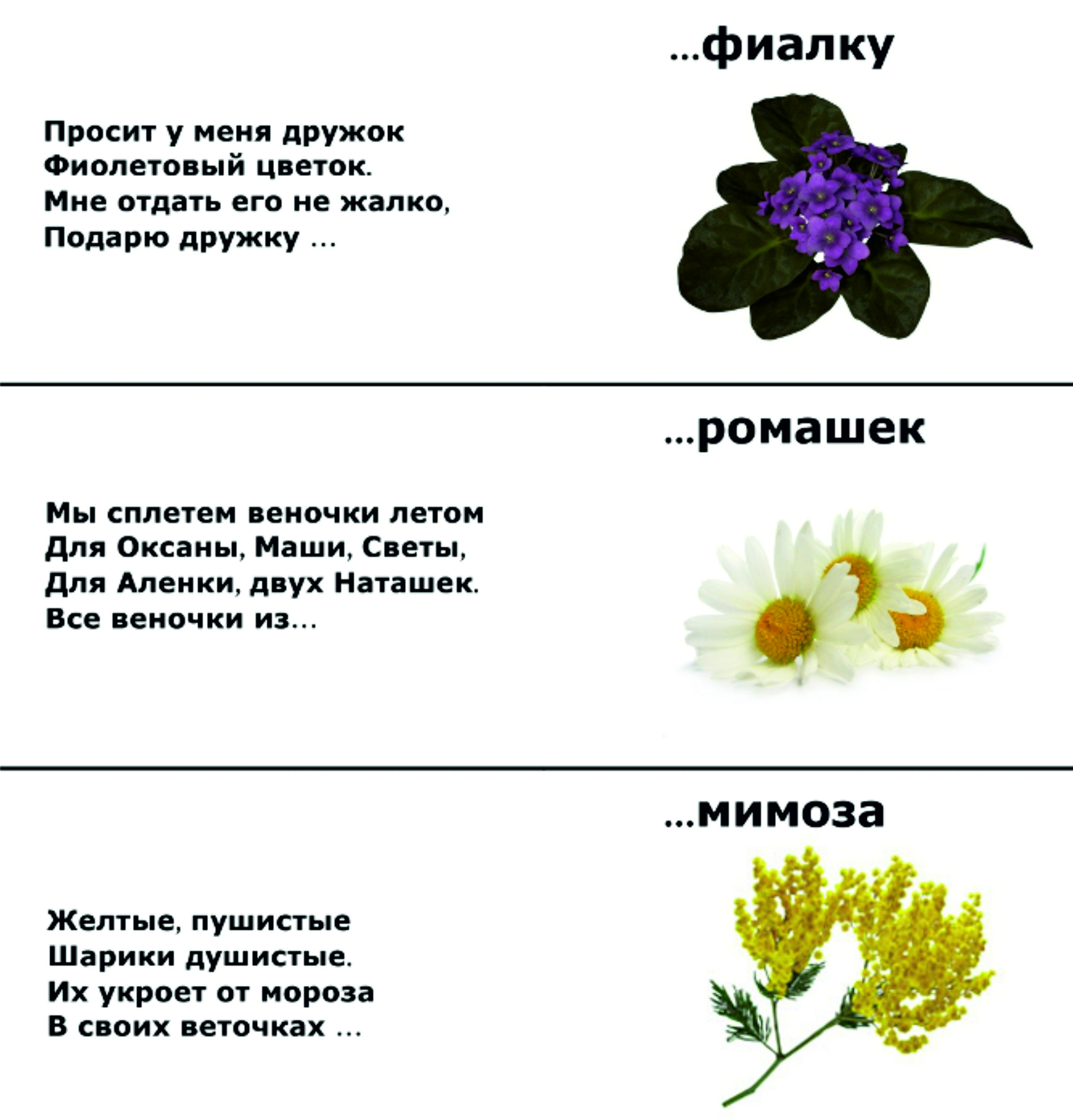 Загадки про цветы для детей