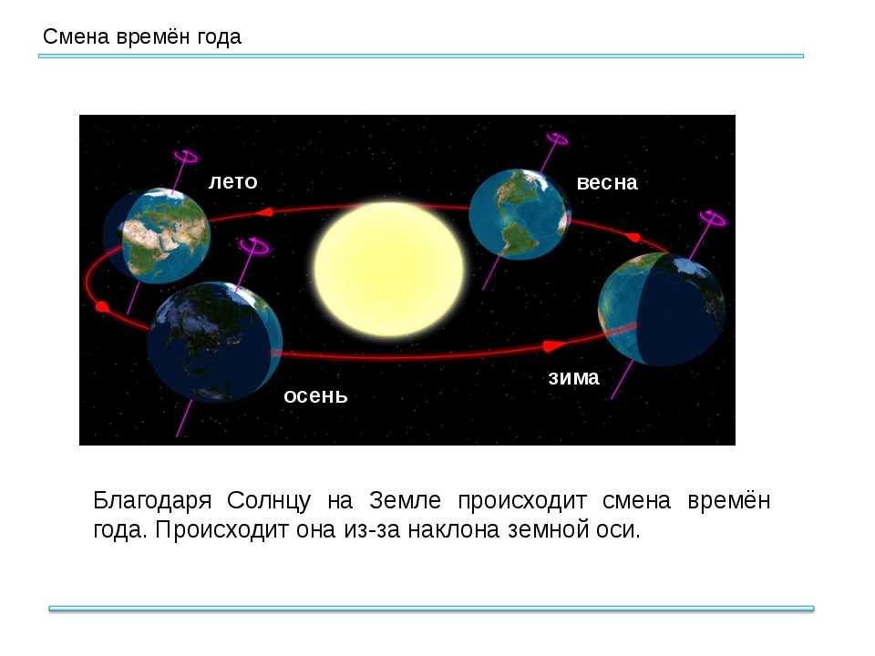 Сезоны года: какая пора года соответствует данному номеру месяца?