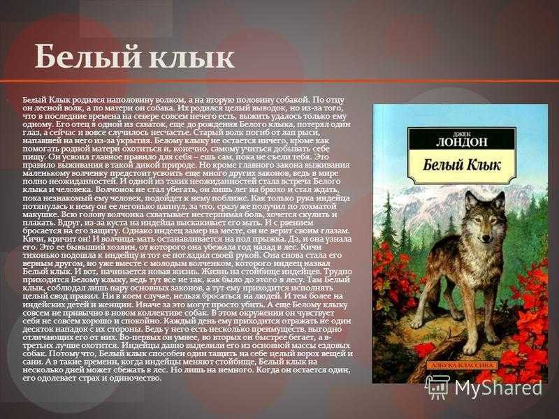 Белый клык краткое содержание (по повести джека лондона)