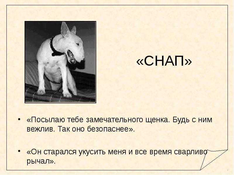 Житков рассказы о животных читательский дневник 2 класс - граматика и образование