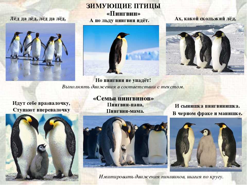 Загадки про еду для детей
