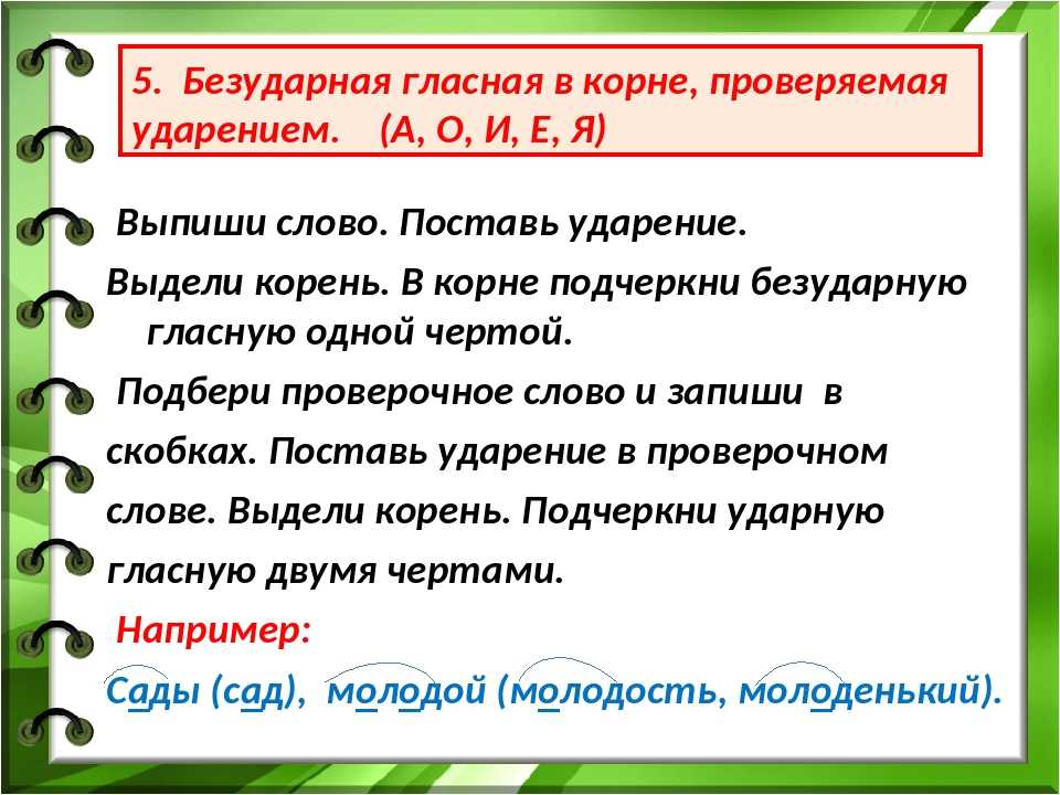 | завтрак словарное слово или нет: завтрак проверочное слово — ответ на uchi.ru 