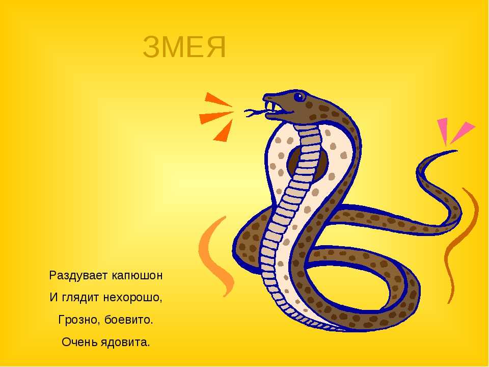 Загадки про обезьян