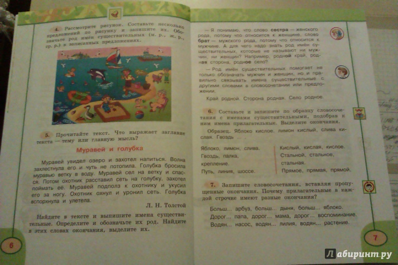 Правописание буквосочетаний чк чн чт щн нч жи ши ча ща чу щу