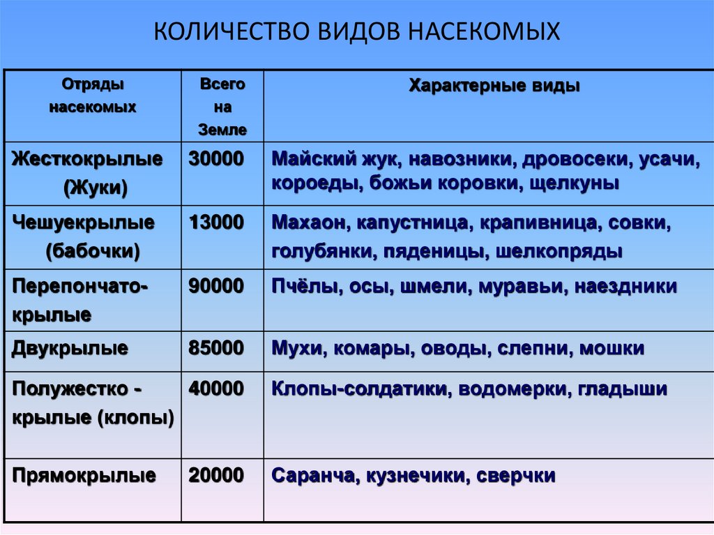 Отличительные признаки насекомых. каковы основные признаки насекомых
