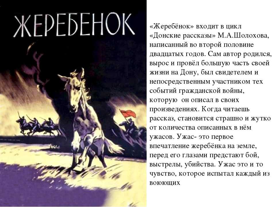 Кратко «сын полка» в. катаев
