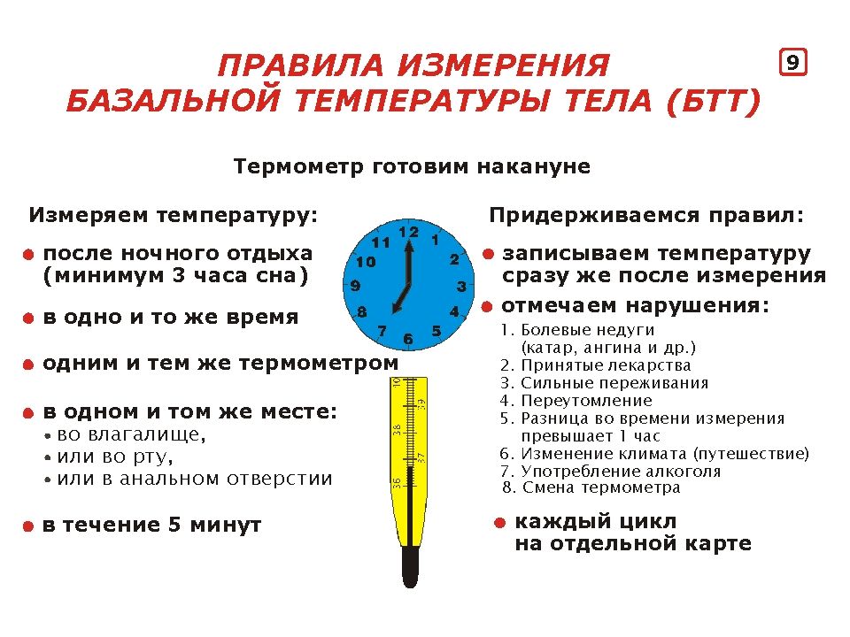 Какая базальная температура должна быть в период овуляции, как правильно измерять и вести график бт?