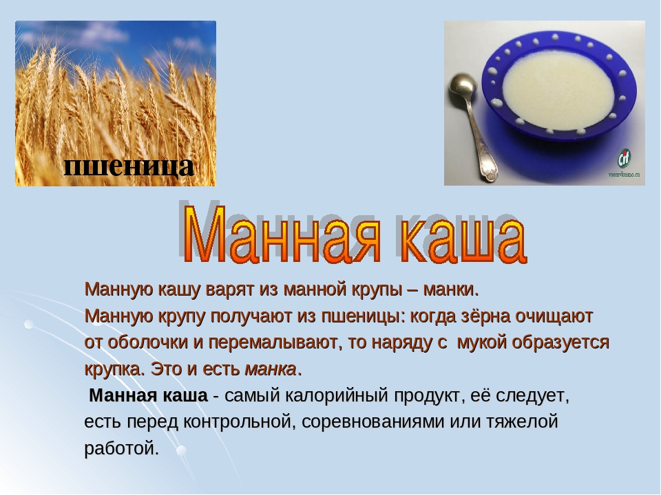 Загадки с ответами про птиц