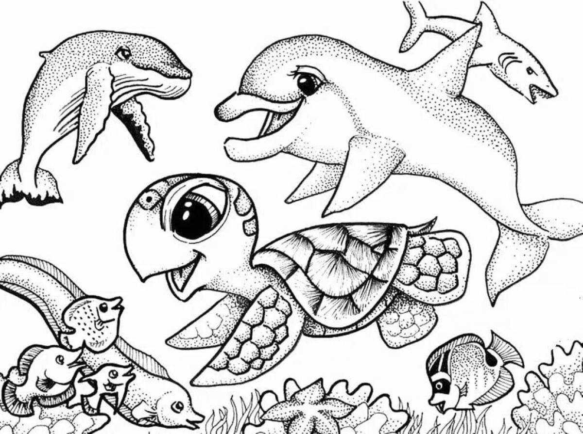 Раскраски морские животные бесплатно для печати
