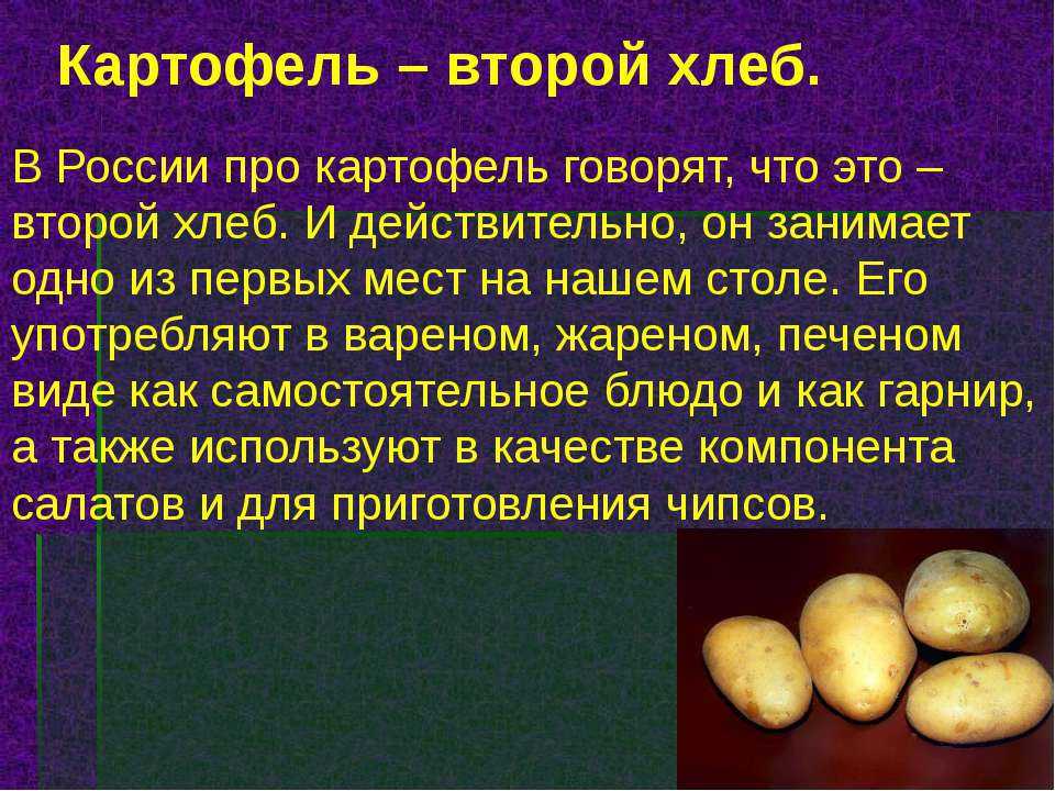 Гдз русский язык учебник канакина, горецкий 4 класс часть 1. ответы на задания