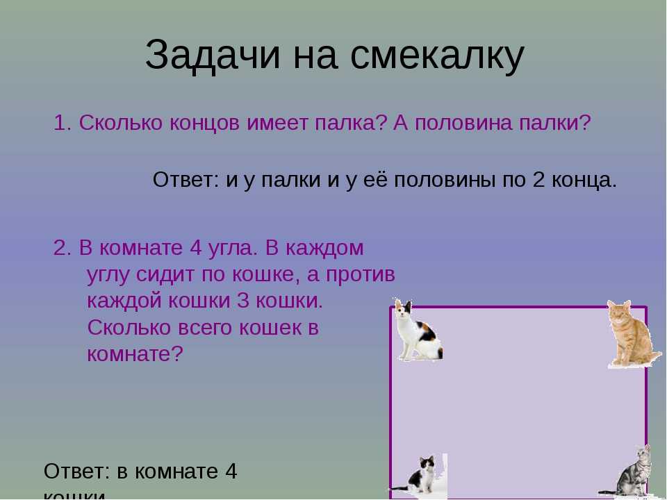 Загадки для 14 лет: загадки для подростков — 140 интересных загадок с ответами —  