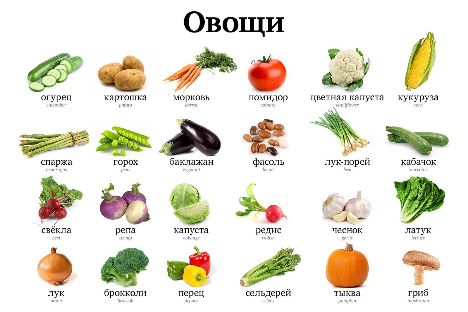 Список овощей на букву к: 15 капустных, кабачковых и других полезных продуктов
