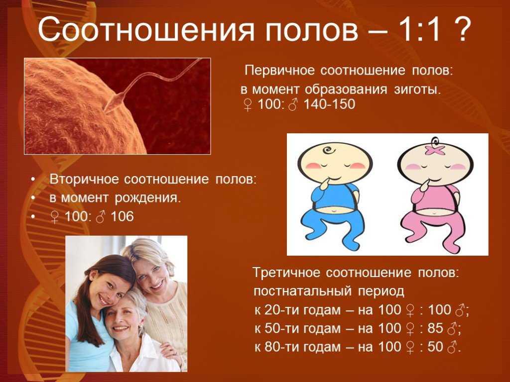 От чего зависит пол ребенка при зачатии? роль мужчины и женщины