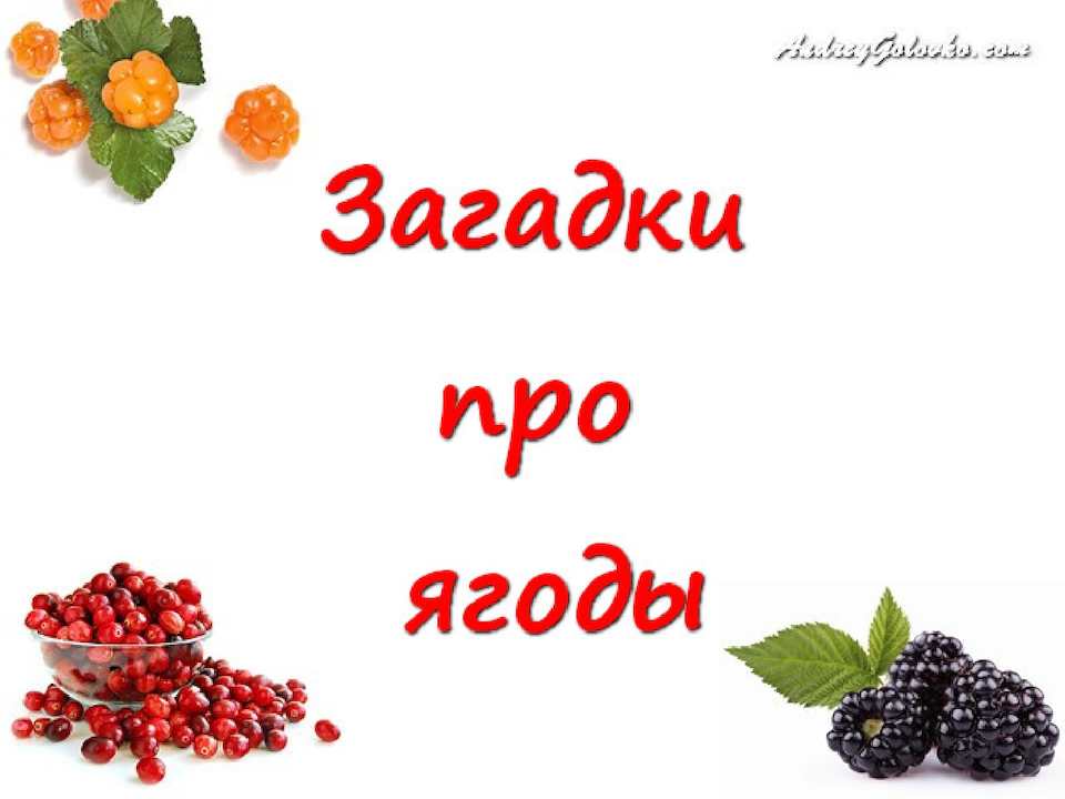 Загадки про ягоды для детей с ответами