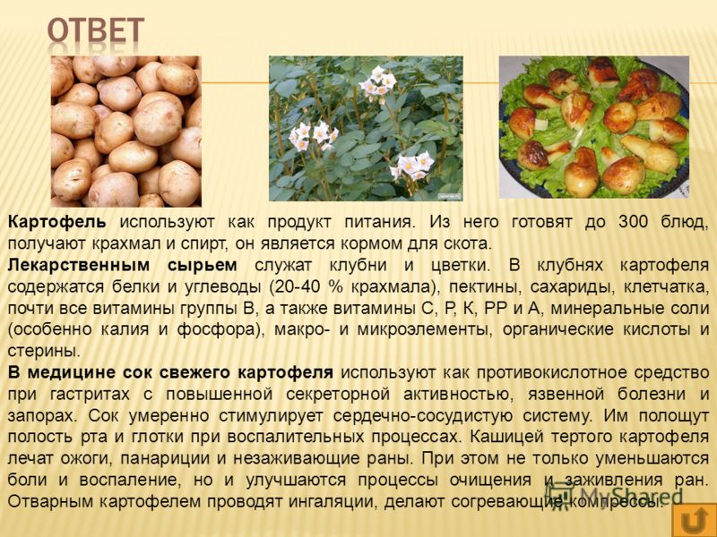 3 класс. русский язык. канакина, щёголева. проверочные работы. страницы 38, 39, 40, 41