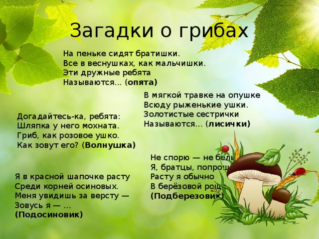 Загадки про грибы - подготовка к школе и развивающие задания для детей мама7я