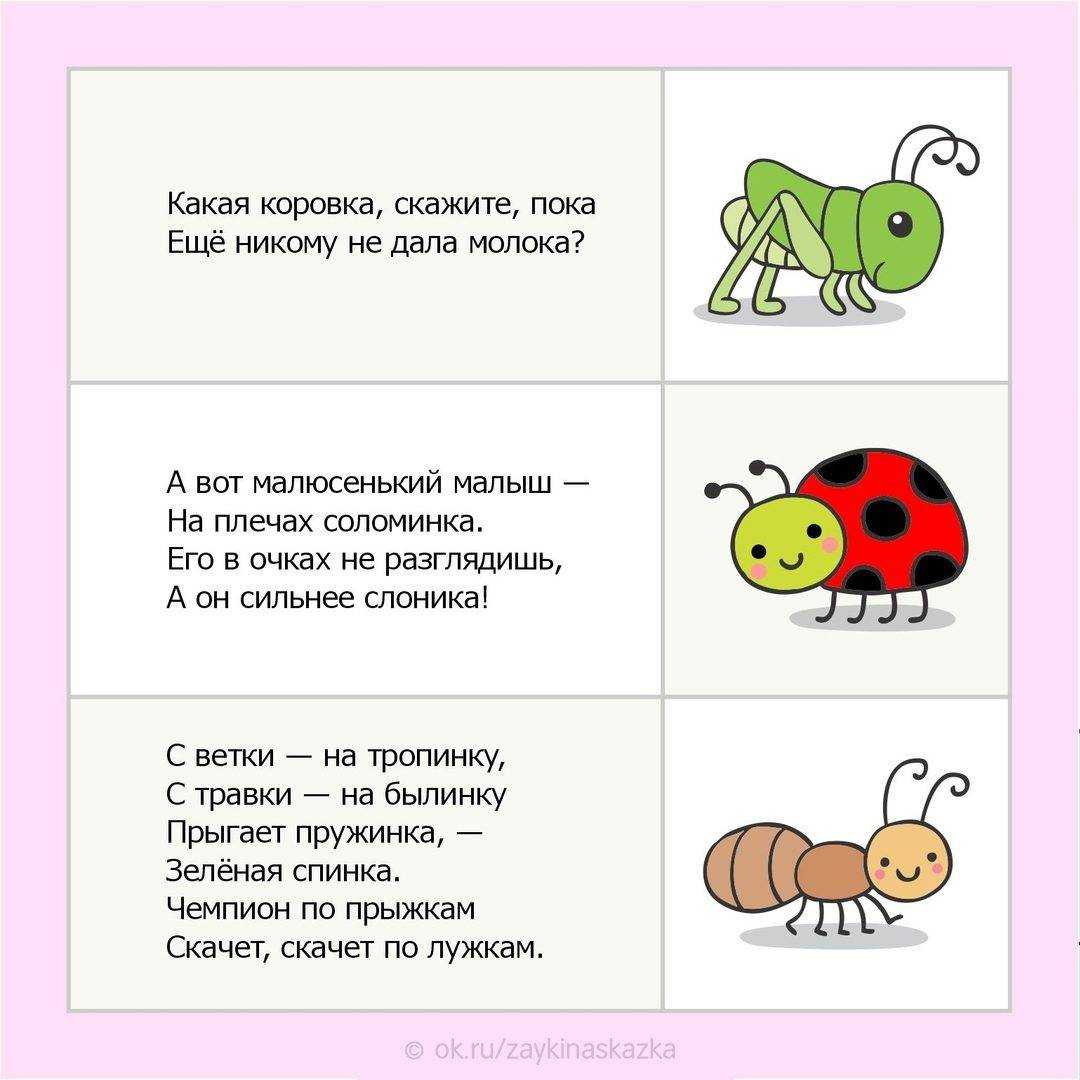 Загадки про деревья
