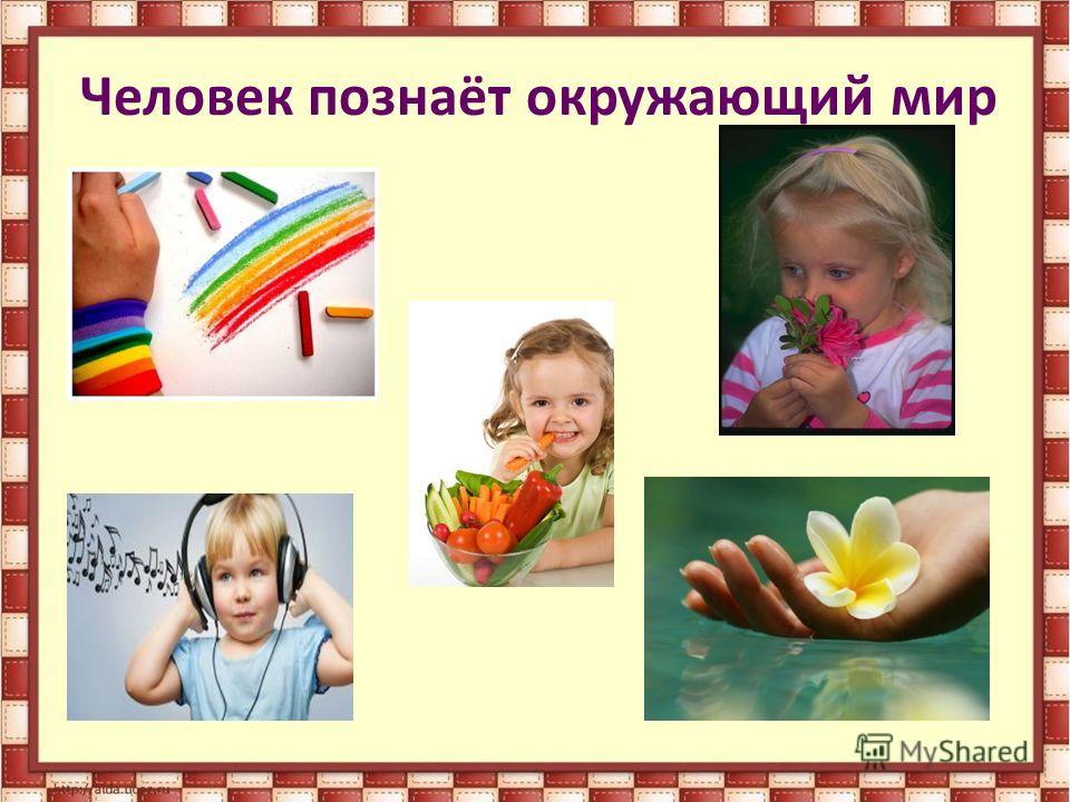 Конспект урока по окружающему миру в 3 классе «органы чувств». воспитателям детских садов, школьным учителям и педагогам - маам.ру