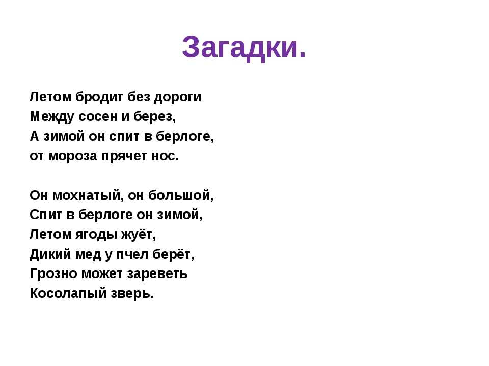 Загадки про медведя с ответами
