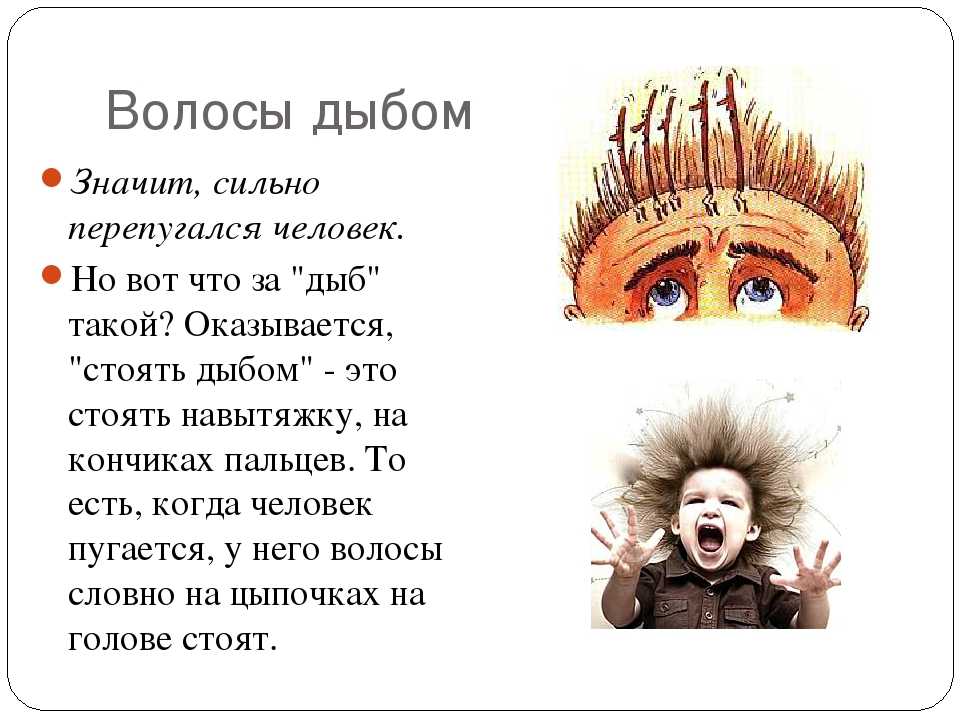 Приведение в инженерном замке читать краткое содержание. николай лесков «привидение в инженерном замке