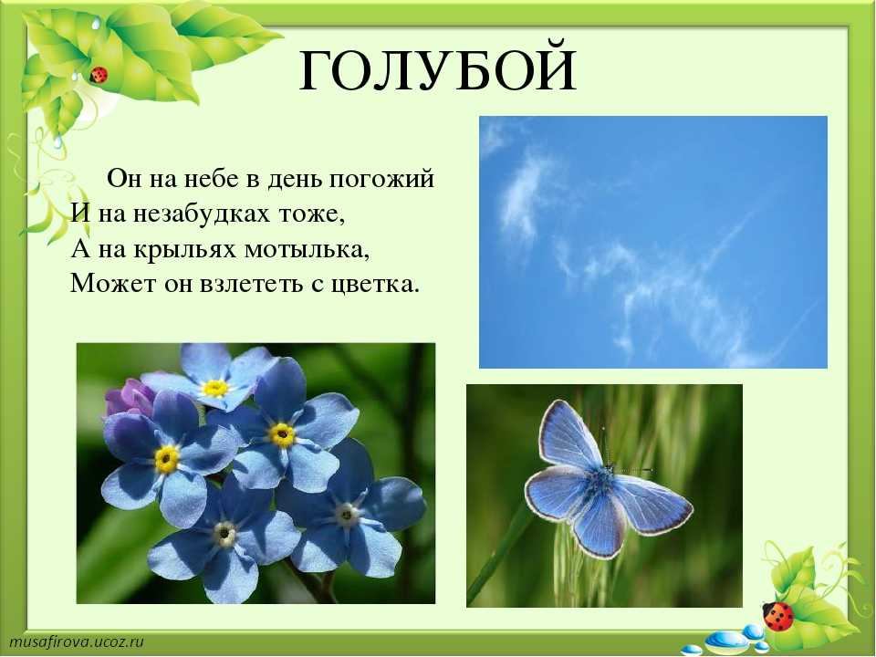 Милые загадки про цвета для малышей