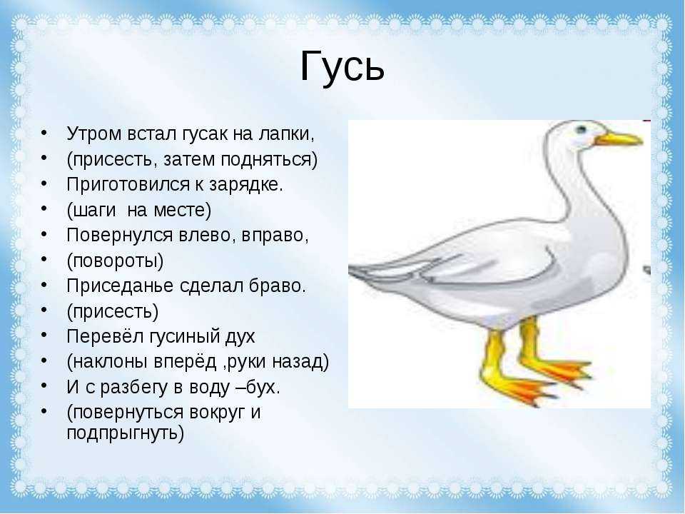 Загадки на день села