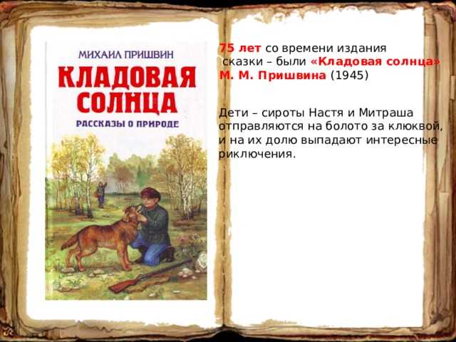 «кладовая солнца» краткое содержание за 1 минуту и по главам за 15 минут