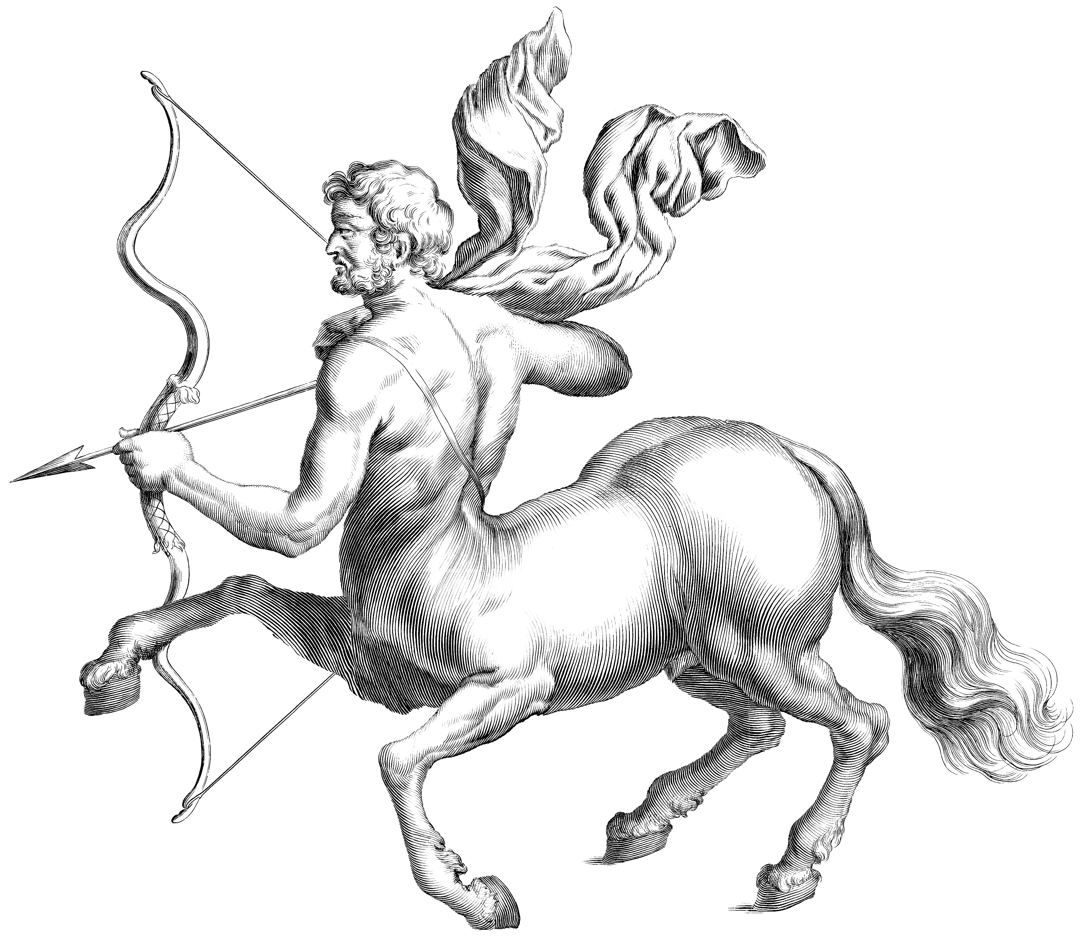 Кентавр