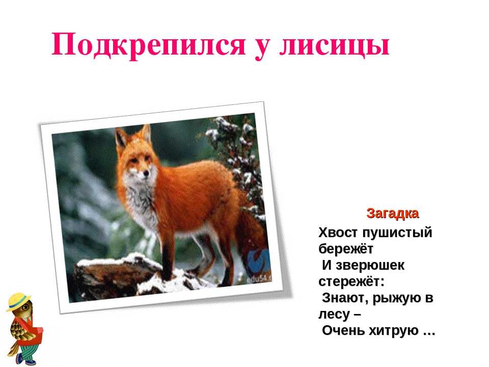 Загадки про героев мультфильмов и сказок