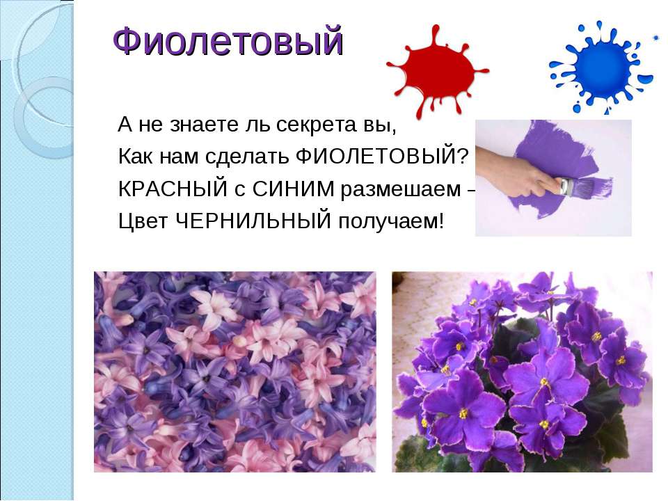 Загадки про цветы для детей — 145 головоломок про полевые и комнатные цветы в горшке