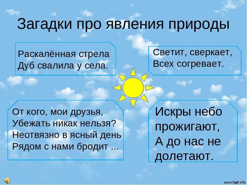 Загадки про десять явлений природы | зеленоград инфо - ещё ближе к городу