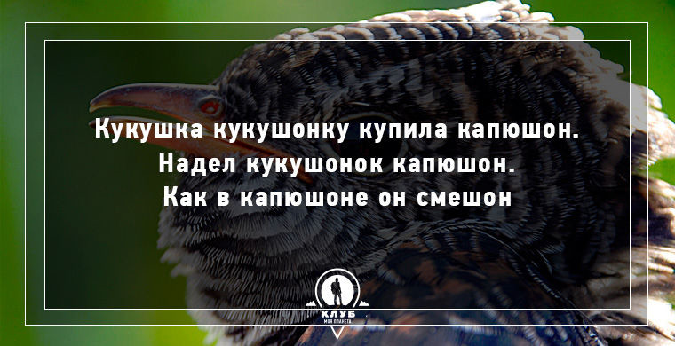 Скороговорки | шпаргалка по знаниям