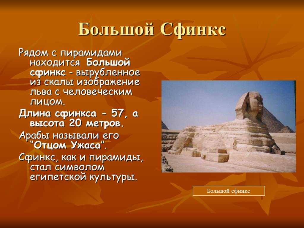 Раскраски котиков, кошек и котят