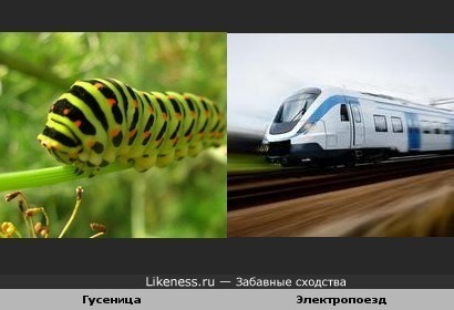 Интересные задания с буквой р для детей 6 7 лет для подготовки к школе