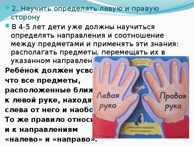 Особенности обучения детей-левшей