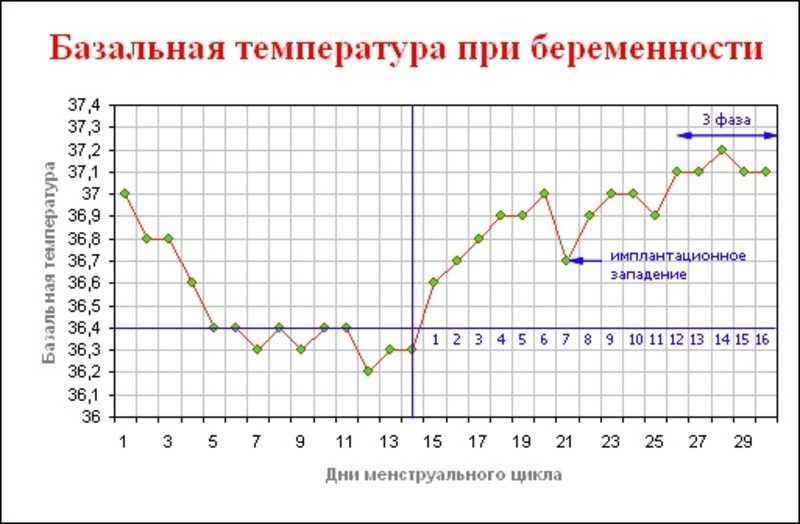 Норма базальной температуры на ранних сроках беременности: как определить и что означает