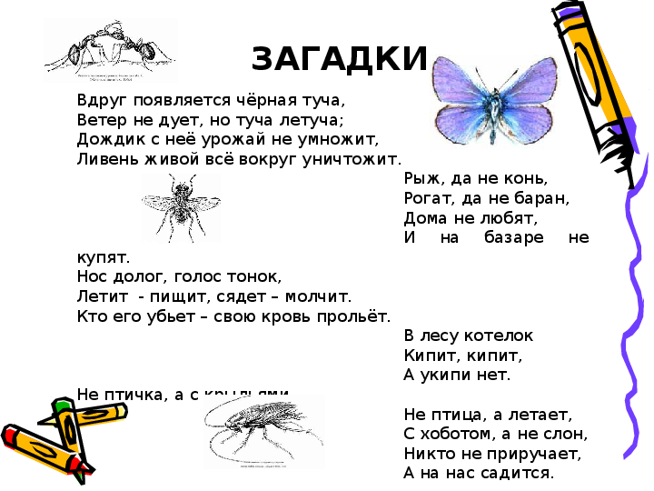 Загадки про учителя для детей - lipesinka.ru