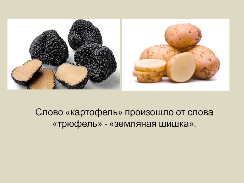 Непроверяемые гласные в корне слова. примеры