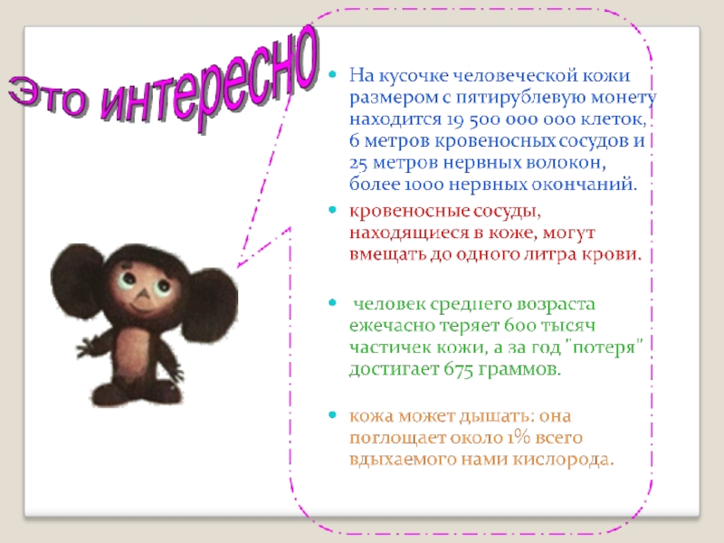 Органы чувств. кожа