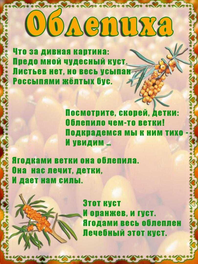 Загадки про осенние ягоды. загадки про ягоды