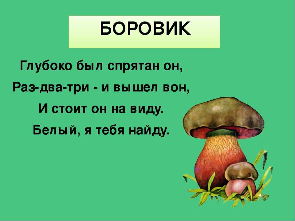 Загадки про грибы