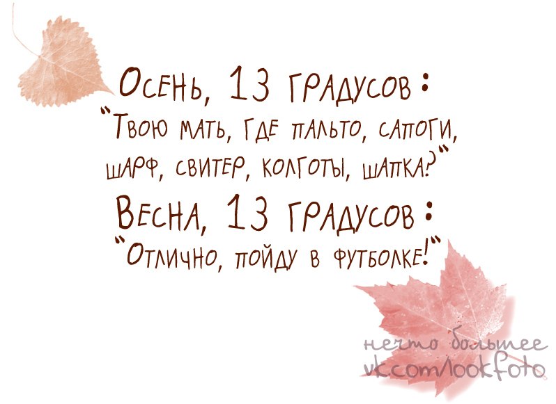 Забавные  поздравления с осенью (в стихах) — 13 поздравлений — stost.ru