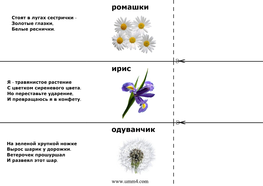 Загадки о растениях с ответами для 2-3 класса