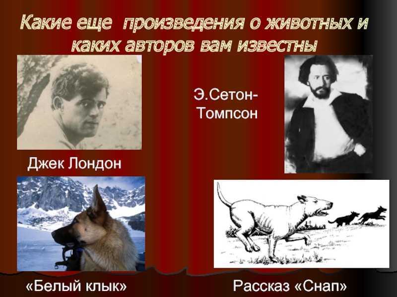 Краткое содержание книги томпсона «рассказы о животных»