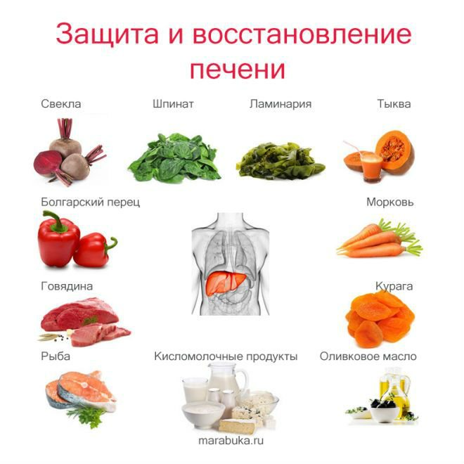 Слабит или крепит чёрная смородина – влияние ягоды на пищеварение