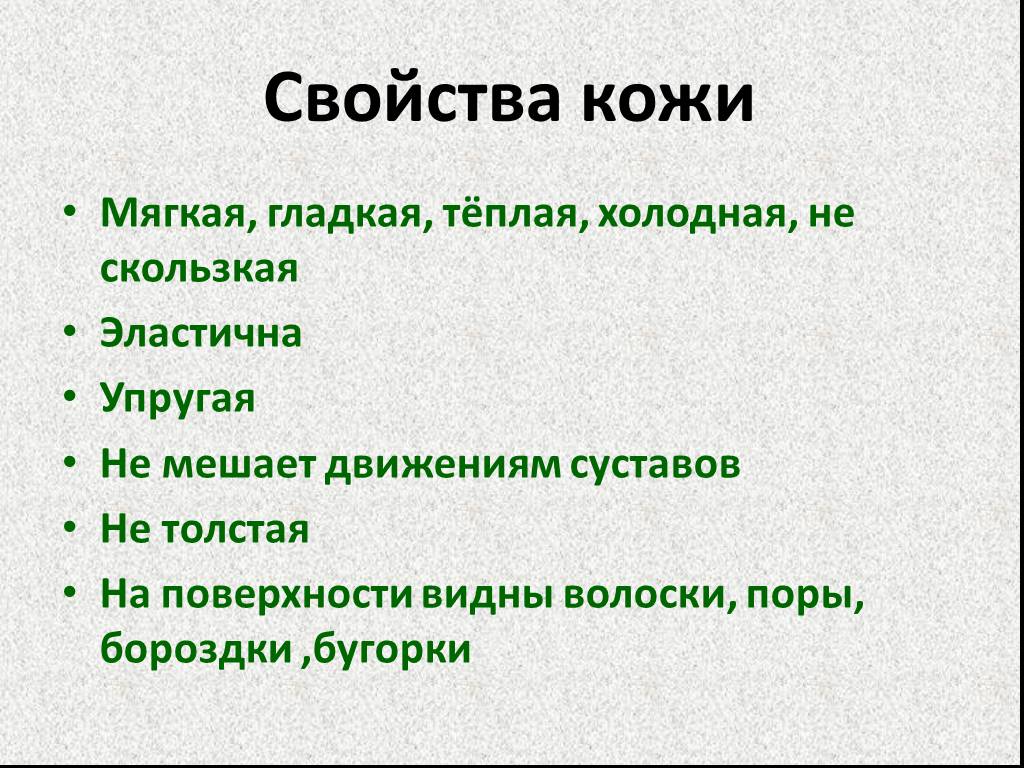 Презентация на тему "кожа" по окружающему миру для 4 класса