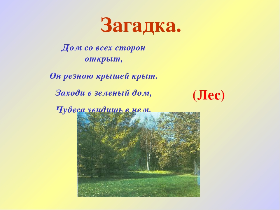Загадки  о природе